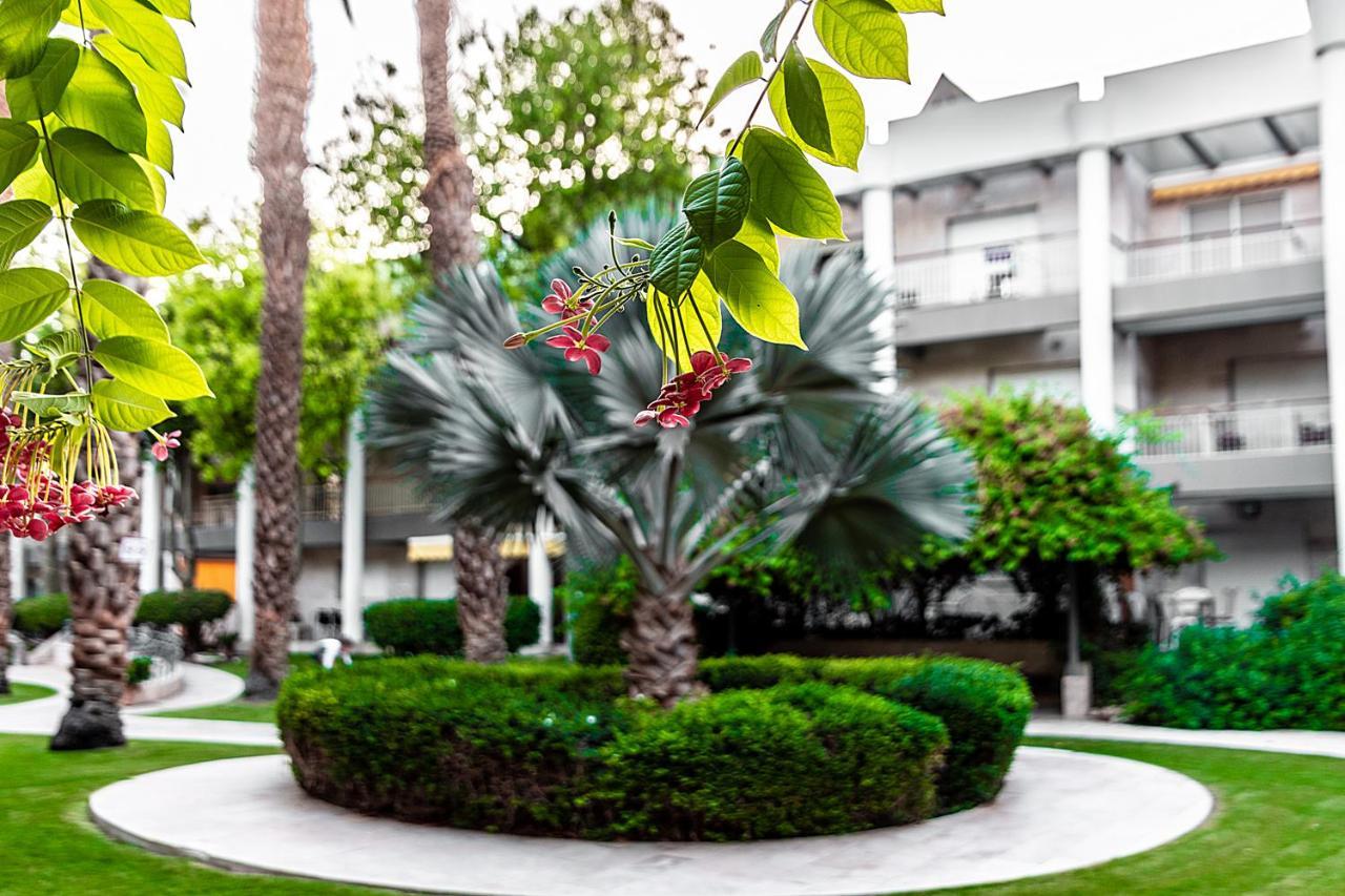 דירת גן פונה לבריכה - Pool Garden View Eilatアパートメント エクステリア 写真